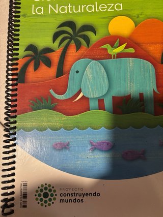 Libros para 1 de primaria