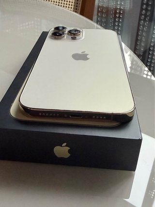 iPhone 13 Pro Max Blanco 256 GB