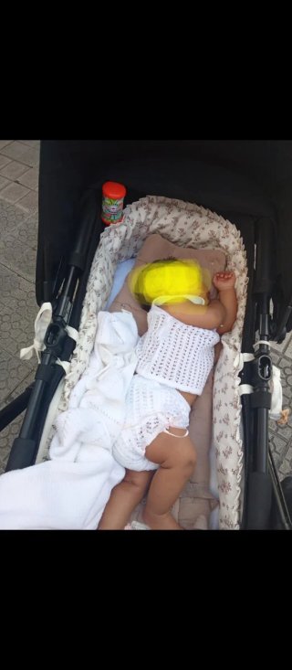 Carrito Bugaboo
