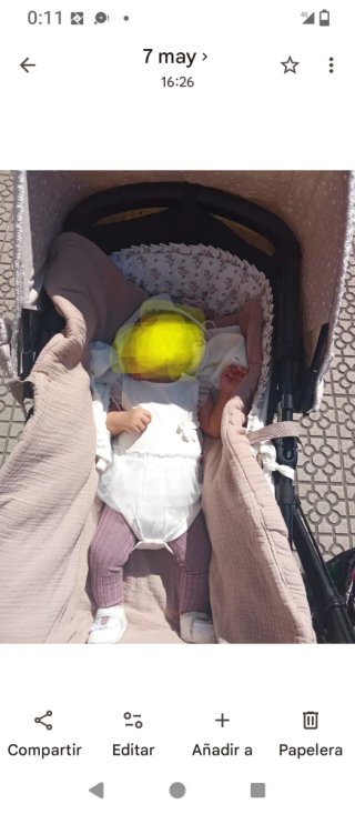 Carrito Bugaboo