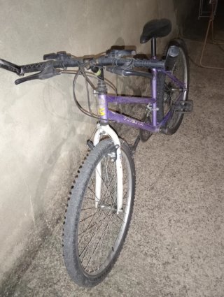 Bicicleta Morada Vivanti