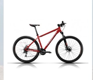 Bicicleta Migamo Natural 29 talla M