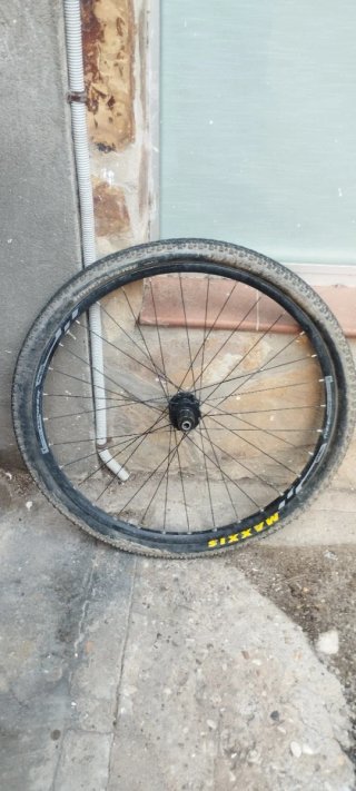 Ruedas MTB 29er Neo Disc con cubiertas