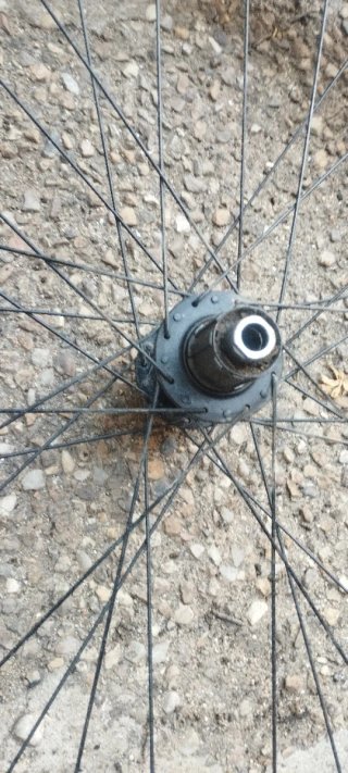 Ruedas MTB 29er Neo Disc con cubiertas
