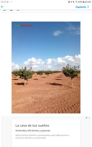 68 Hectáreas Pistachos Ciudad Real con Agua