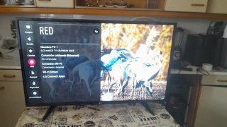 Televisor LG 43 smart wifi 4k Negro