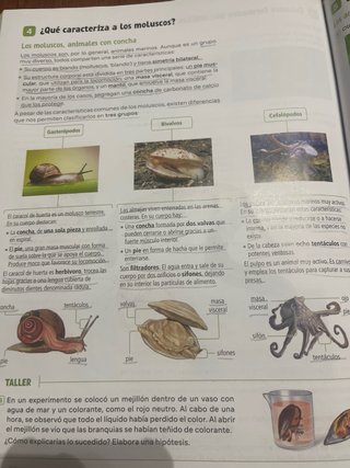 Biología y Geología. 1 Secundaria. Revuela. Pri...