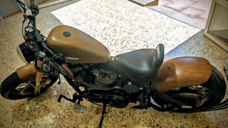 Harley Davidson Sportster 883 Custom