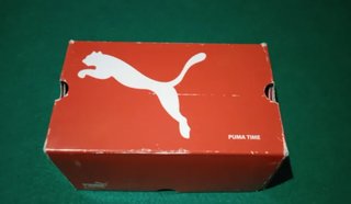 Reloj Puma Marrón y Plateado