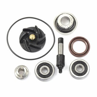 Kit de reparacion bomba de agua F305