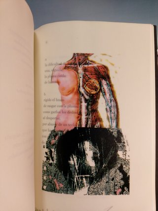 Teatro de Operaciones. Anatomía y Literatura _ Liliana Lukin. Autografiado.