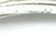anillo plata 925mm