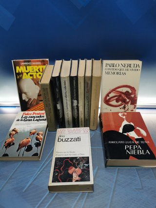 12 libros, 13 novelas clásicas