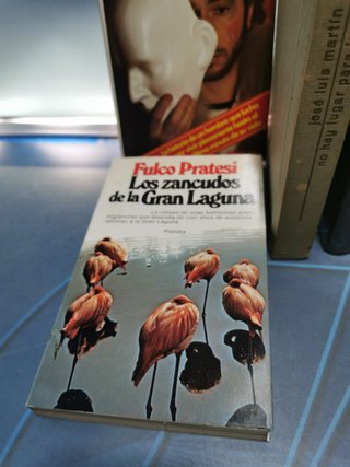 12 libros, 13 novelas clásicas