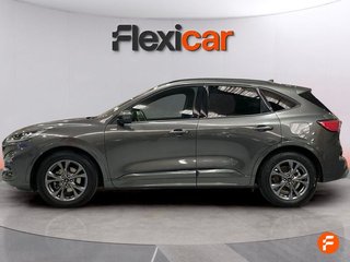 Ford Kuga ST-Line 2.0 EcoBlue 88kW (120CV) Auto
