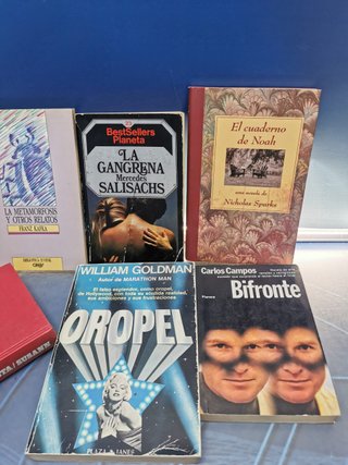 Lote 9 libros, clásicos y best sellers