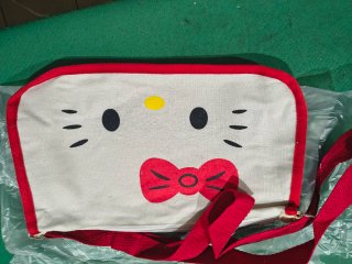 Set Sanrio Hello Kitty con estampado 10 pezzi