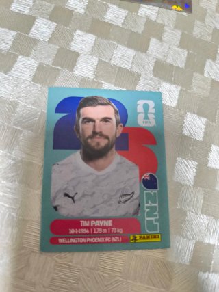 Cromo Tim Payne Mundial Panini