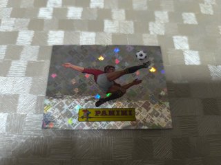 Cromo Panini Mundial 00