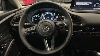 Mazda CX-30 2025 2.5 e-SKYACTIV G MHEV 140CV 6MT FWD HOMURA