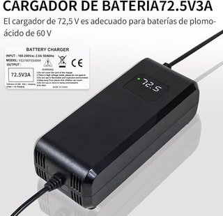 YANGZIDIANYUAN cargador 72.5V 3A LED Baterías 60V