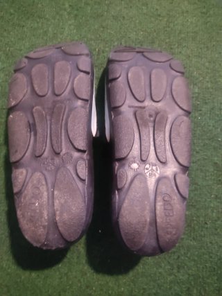 Chanclas Speedo Azul