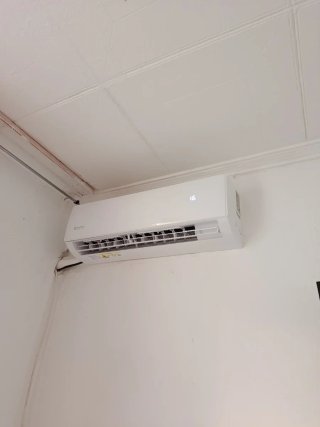 Servicio de Manitas