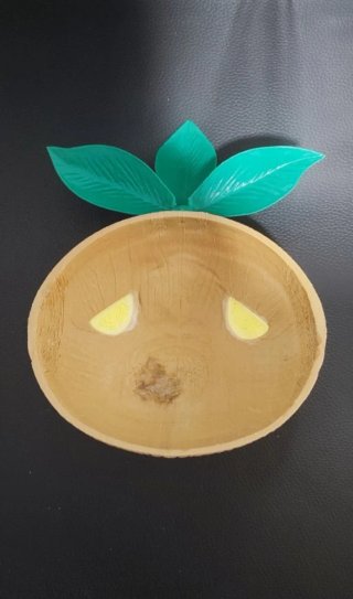 Zelda Escudo & Mascara Decu