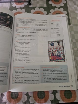 Lengua castellana y literatura