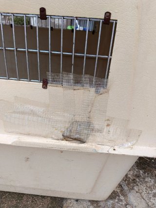 Transportín perro Vari Kennel