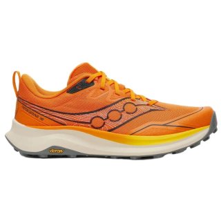Zapatillas Saucony Peregrine 16 new color