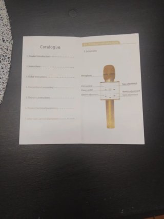Micrófono Karaoke con Funda y Accesorios