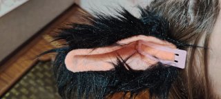 Costume da gatto