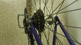 Bicicleta Orbea Paradise