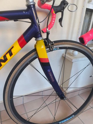 Giant TCR Team 1998