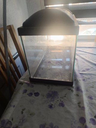 Acuario pecera morado
