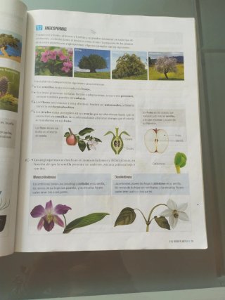 Biología Y Geología 1 Secundaria
