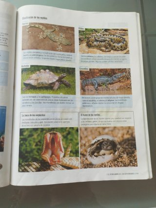 Biología Y Geología 1 Secundaria