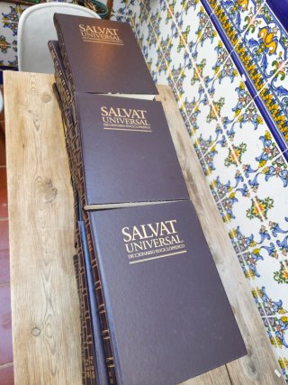 Diccionario enciclopedico Salvat universal