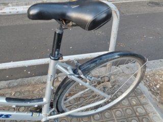 Bicicleta Batavus Plata