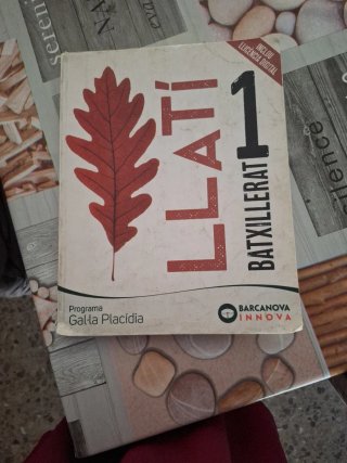 Libro LLATI 1 Batxillerat