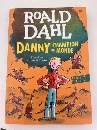 Danny Champion du Monde