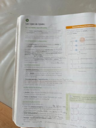 Biología 2 bachillerato, Operación Mundo