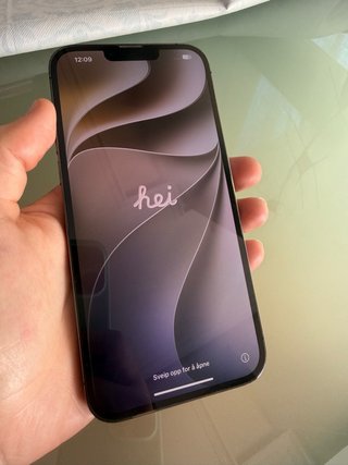 iPhone 13 Pro Max 256GB Grafito
