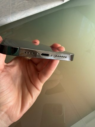 iPhone 13 Pro Max 256GB Grafito