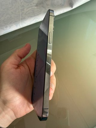 iPhone 13 Pro Max 256GB Grafito