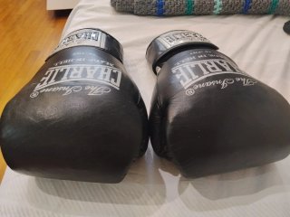 Guantes de Boxeo Charlie 16 oz