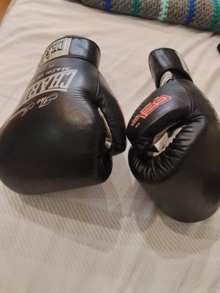 Guantes de Boxeo Charlie 16 oz