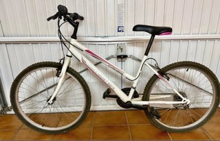 Bicicleta Montaña Junior Romester 20”
