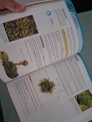 Biologia i Geologia I, ESO, Secundària, D'una ...
